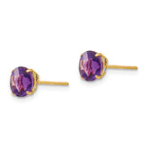 14K Yellow Gold Amethyst Birthstone Stud Earrings for Women